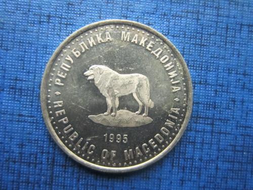 Монета 1 денар Македония 1995 юбилейка ФАО фауна собака