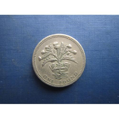 Монета 1 фунт Великобританія 1984 Шотландські будяки