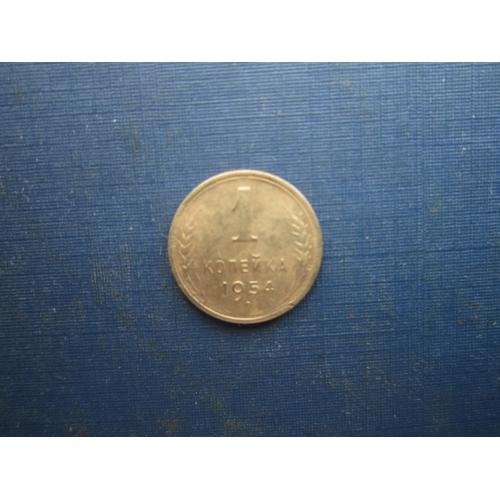 Монета 1 копійка СРСР 1954 непогана