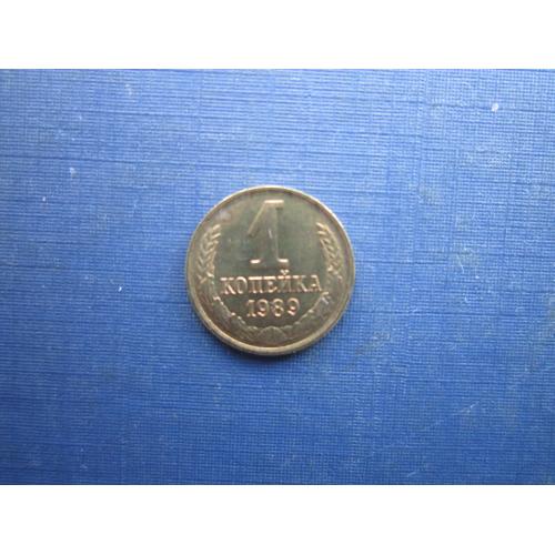 Монета 1 копійка СРСР 1989 стан