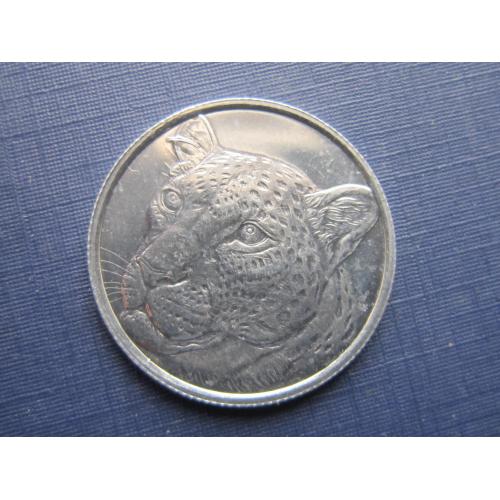Монета 1 куруш Турция 2022 фауна дикая кошка ягуар