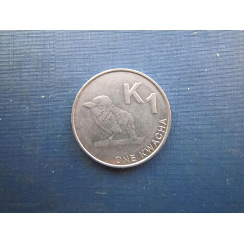 Монета 1 квача Замбія 2017 фауна птах