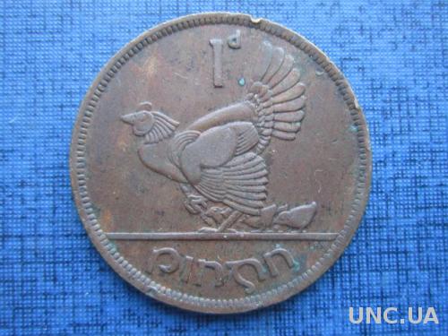 монета 1 пенни Ирландия 1948 фауна курица