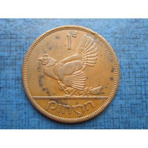 Монета 1 пенни Ирландия 1965 фауна курица