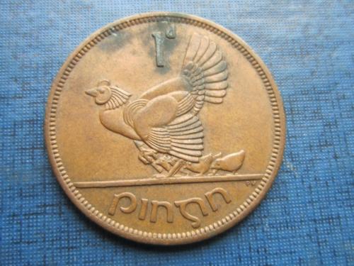 Монета 1 пенни Ирландия 1968 фауна курица