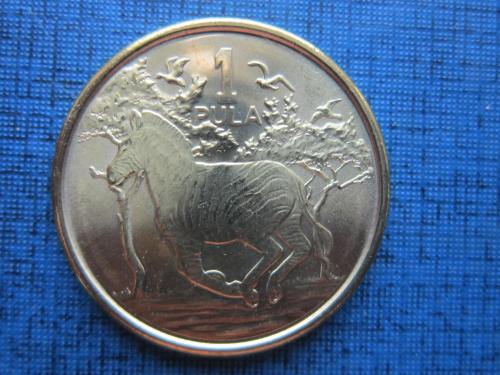 Монета 1 пула Ботсвана 2013 фауна зебра состояние
