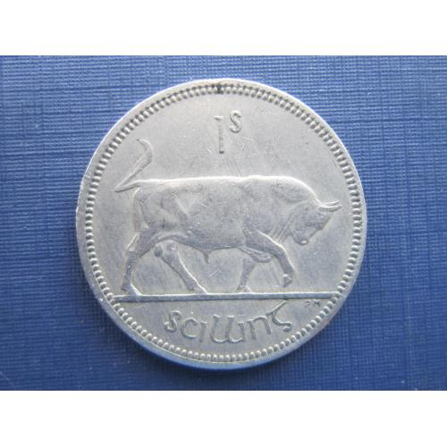 Монета 1 шиллинг Ирландия 1962 фауна бык