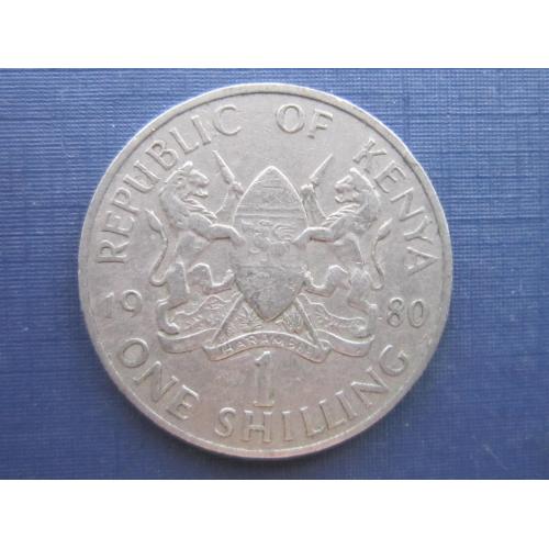 Монета 1 шиллинг Кения 1980
