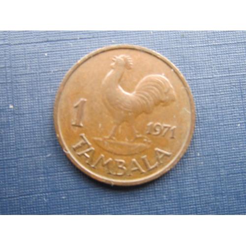 Монета 1 тамбала Малави 1971 фауна птица петух