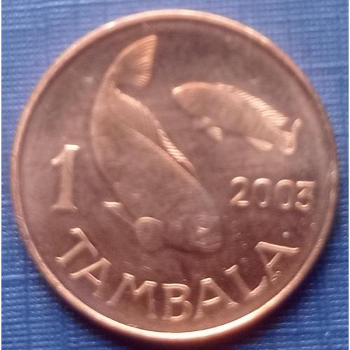 Монета 1 тамбала Малави 2003 фауна рыба