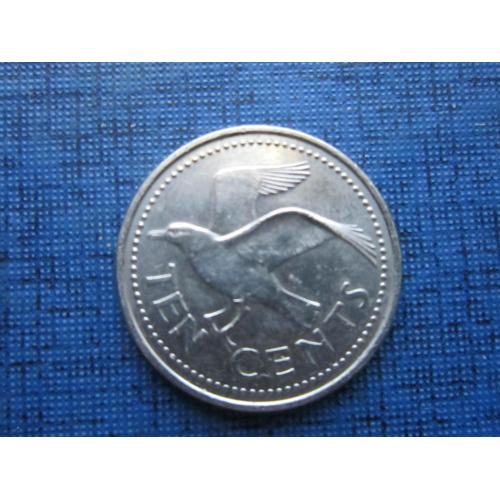 Монета 10 центов Барбадос 1990 фауна птица
