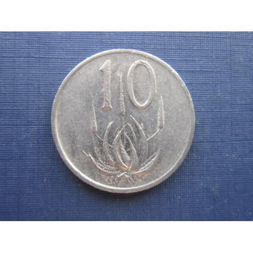 Монета 10 центов ЮАР 1984 флора цветок алоэ