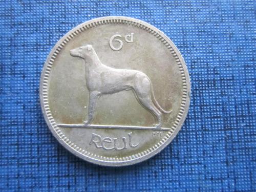 Монета 6 пенсов Ирландия 1964  фауна собака 