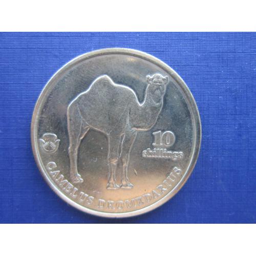 Монета 10 шиллингов Биафра 2021 верблюд дромадер