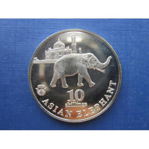 Монета 10 шиллингов Биафра (Нигерия) 2017 фауна слон мечеть