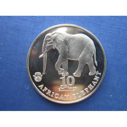 Монета 10 шиллингов Биафра (Нигерия) 2017 фауна слон