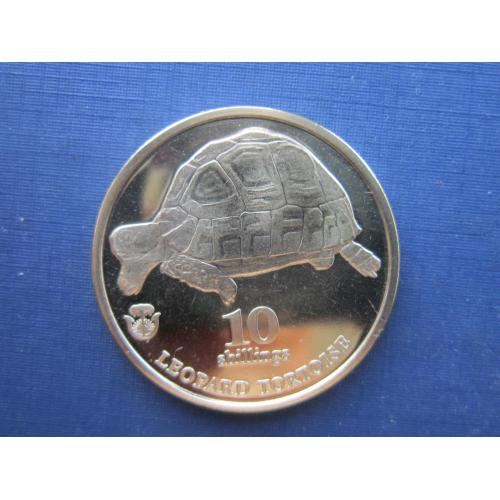Монета 10 шиллингов Биафра (Нигерия) 2018 фауна черепаха