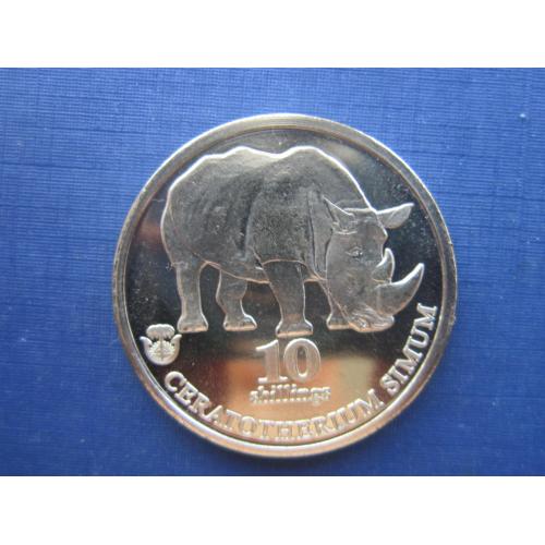 Монета 10 шиллингов Биафра (Нигерия) 2020 фауна носорог