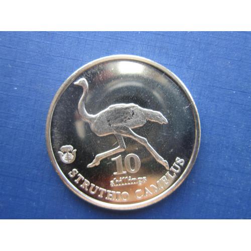 Монета 10 шиллингов Биафра (Нигерия) 2020 фауна птица страус
