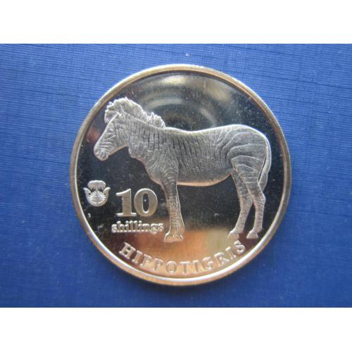 Монета 10 шиллингов Биафра (Нигерия) 2020 фауна зебра