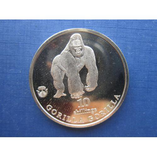 Монета 10 шиллингов Биафра (Нигерия) 2021 фауна горилла