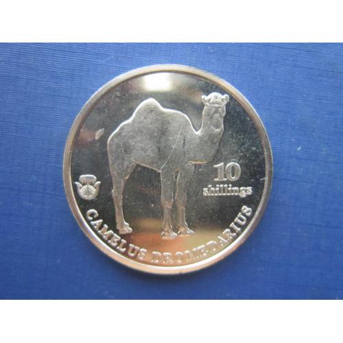 Монета 10 шиллингов Биафра (Нигерия) 2021 фауна верблюд дромадер