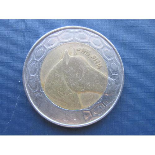 Монета 100 динаров Алжир 1993 фауна лошадь конь