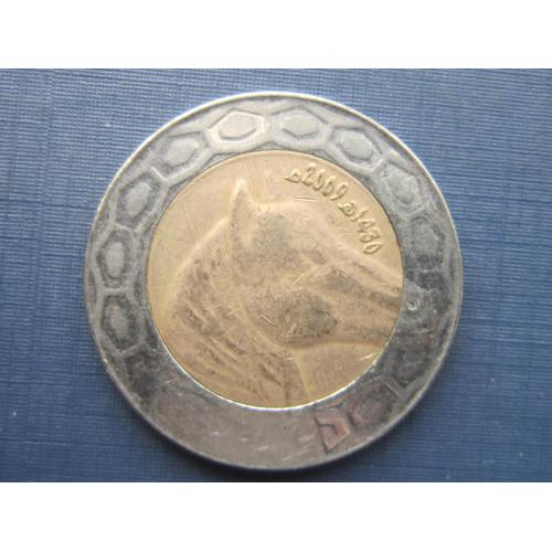 Монета 100 динаров Алжир 2009 фауна лошадь конь