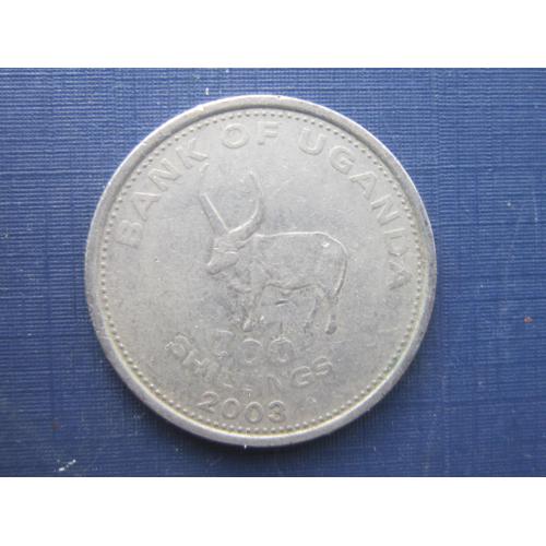 Монета 100 шиллингов Уганда 2003 фауна корова бык