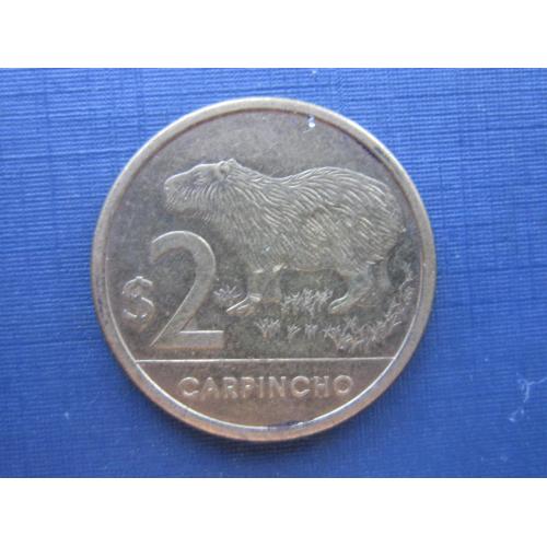 Монета 2 песо Уругвай 2011 фауна капибара