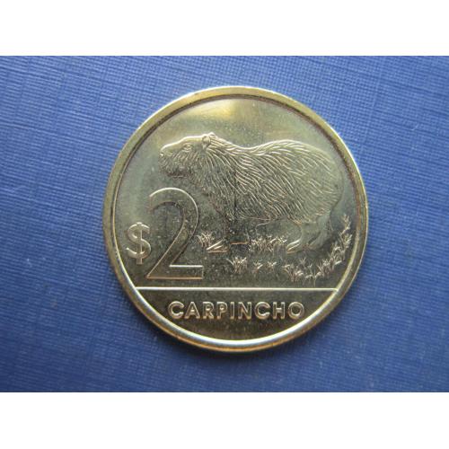 Монета 2 песо Уругвай 2019 фауна капибара