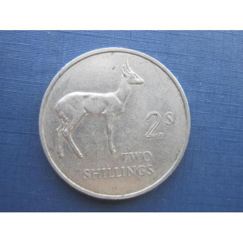Монета 2 шиллинга Замбия 1966 фауна косуля