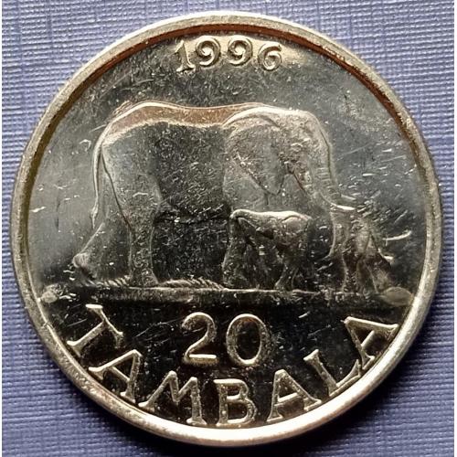 Монета 20 тамбала Малави 1996 фауна слоны слон