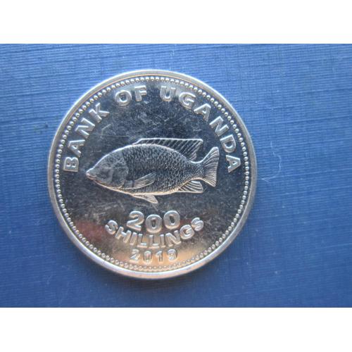 Монета 200 шиллингов Уганда 2019 фауна рыба