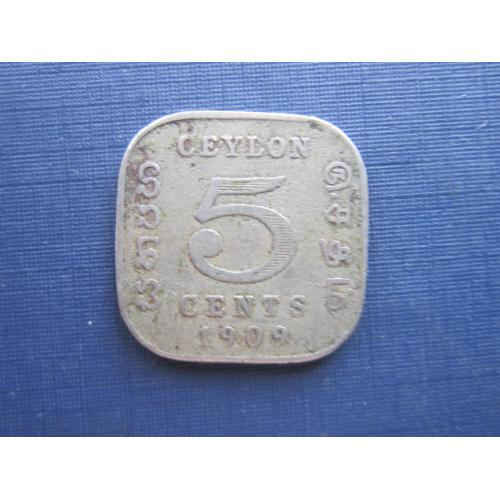 Монета 5 центов Цейлон Британский 1909