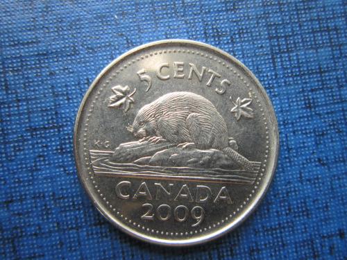 Монета 5 центов Канада 2009 фауна бобр
