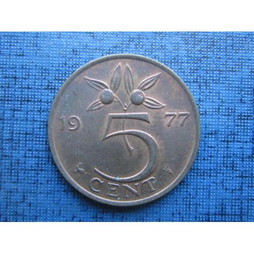 Монета 5 центов Нидерланды 1977