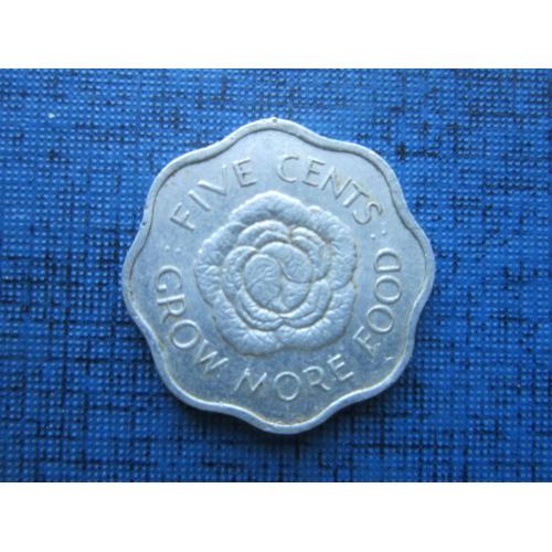 Монета 5 центов Сейшельские острова Сейшелы Британские 1972 ФАО