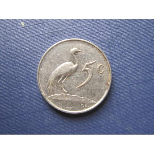 Монета 5 центов ЮАР 1975 фауна птица