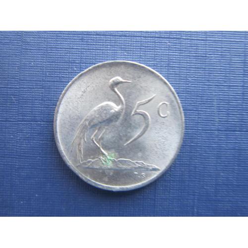 Монета 5 центов ЮАР 1978 фауна птица