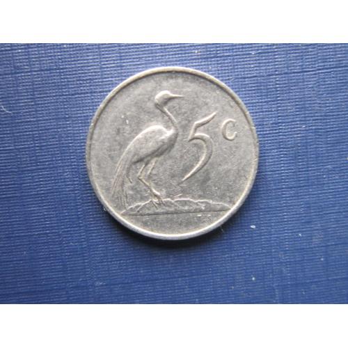 Монета 5 центов ЮАР 1981 фауна птица