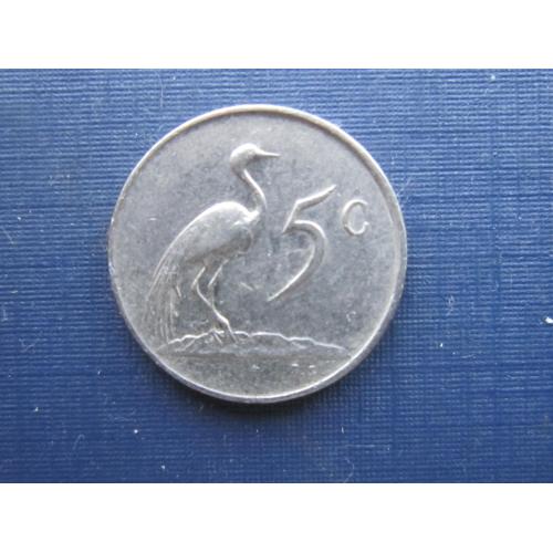 Монета 5 центов ЮАР 1982 фауна птица Балтазар Йоханнес Форстер