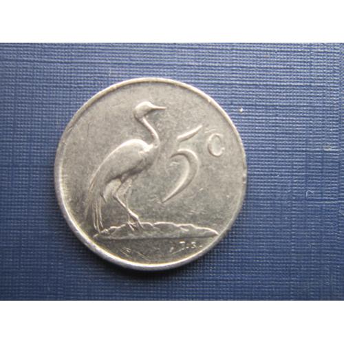 Монета 5 центов ЮАР 1983 фауна птица