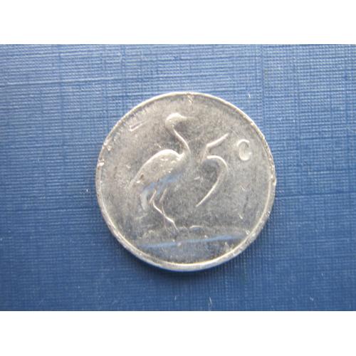 Монета 5 центов ЮАР 1983 фауна птица