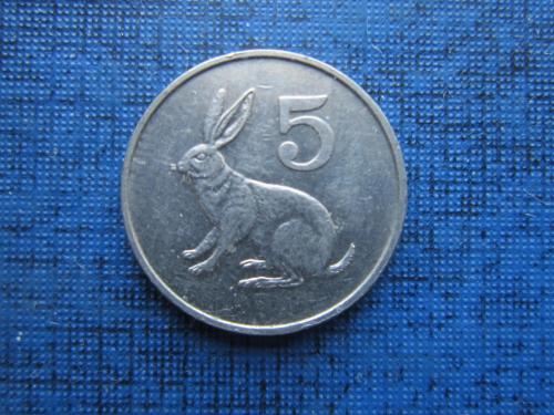 Монета 5 центов Зимбабве 1980 фауна заяц кролик
