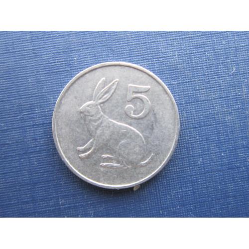 Монета 5 центов Зимбабве 1982 фауна заяц кролик