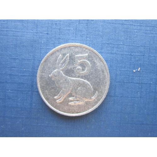 Монета 5 центов Зимбабве 1982 фауна заяц кролик