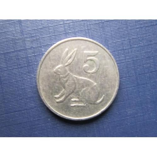 Монета 5 центов Зимбабве 1988 фауна заяц кролик