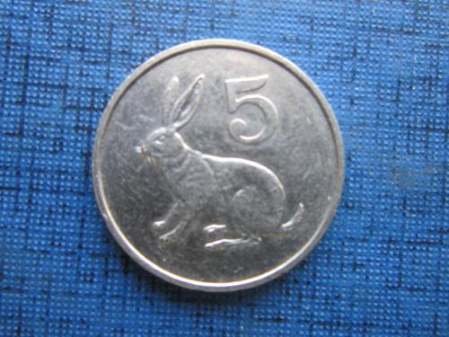 Монета 5 центов Зимбабве 1990 фауна заяц кролик