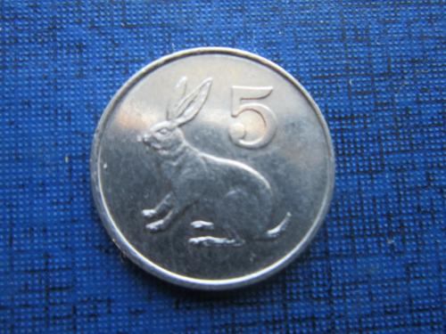 монета 5 цетов Зимбабве 1997 фауна кролик